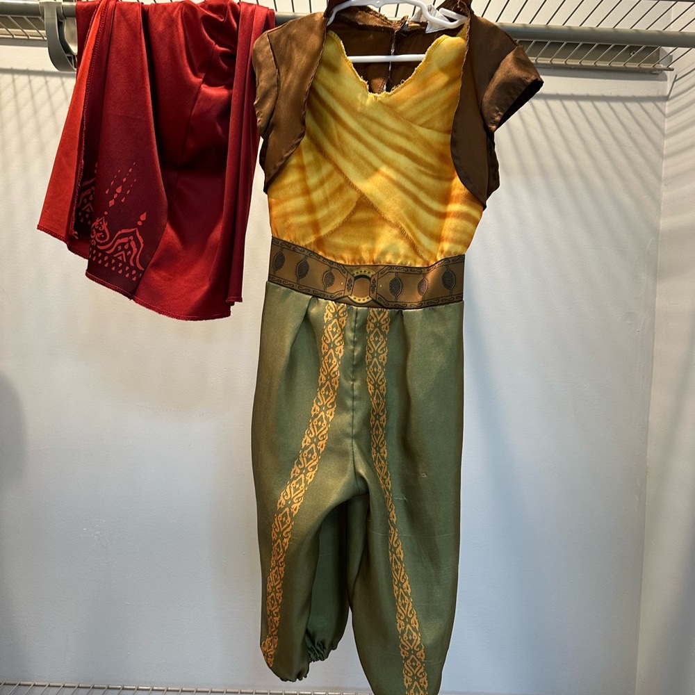 Disney Raya costume 4-6
